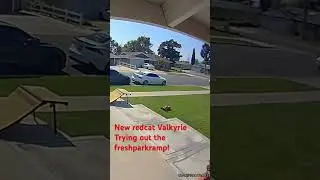 #Avantlink#redcat#valkyrie#freshparkramp#backflip#rc truck#rc life