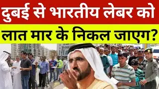 दुबई में भारतीय लेबर को धक्के मार के निकल जाएगा? | Dubai News Today | Uae News Today | Hindi News 