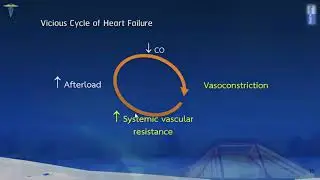 MDS312 Drug used in Heart Failure Ep1