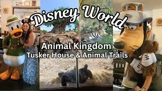 Disney World Tusker House Breakfast & Animal Kingdom Animal Sightseeing Trails (Day 2 at AK)