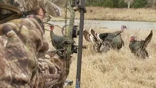 Bowhunting Turkeys: Gobbler at 6 Steps, No Pop-Up Blind