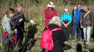Buitenstad kunstwandeling