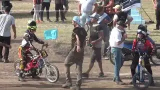 gala vissani