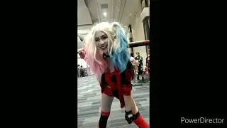 Harley Quinn Cosplayer From The Suicide Squad