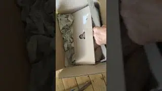 Dm Bio пшеница