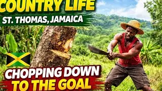 Сельский образ жизни на острове Сент-Томас, Ямайка 🇯🇲 | Срубаем деревья, чтобы достичь цели