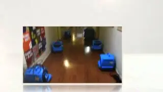 Storm Damage Plantation FL 33388 Florida Water Damage