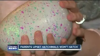 Parents upset Hatchimal won't hatch