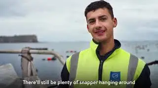 How to fish safely around a Sanford mussel farm