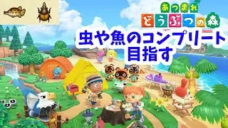 アプデされた世界を楽しむ【あつまれどうぶつの森】