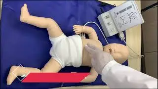 Manequim Bebê para Treino de RCP com Painel Led -TGD-4005-B