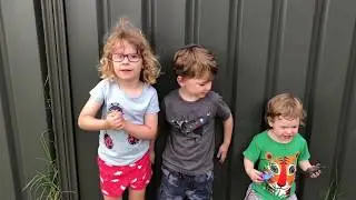 Dinosaur Toy Surprise