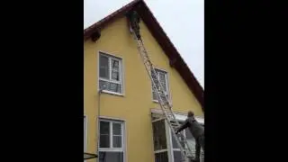Vogelabwehr anbringen nach Polenart