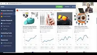 How to start product hunting with the Niche Scraper tool? ✨