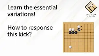 Learn the essential variations after the popular joseki! How to response this kick?