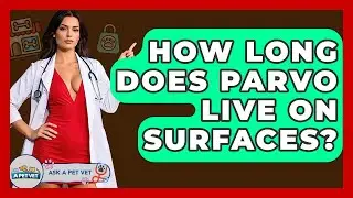 How Long Does Parvo Live On Surfaces? - Ask A Pet Vet