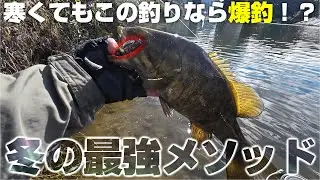 冬はこのハードルアーで爆釣！？メタルバイブリアクション完全解説！【川スモール】