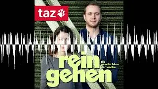 Mit Vollgas gegen die Brandmauer - Podcast Reingehen - Die Geschichten der Woche