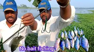 New Technique Fishing  | No Bait Fishing🪝 | Triple Hook Fishing 🐠