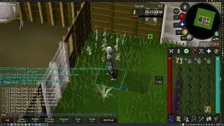 Quick Bagged Plant Training OSRS