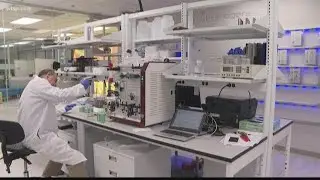 Tampa could be at the center of finding a cure for cancer