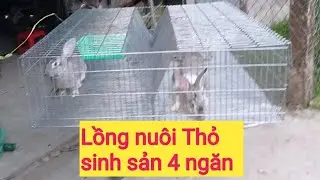 Lồng 4 ngăn nuôi Thỏ  sinh sản