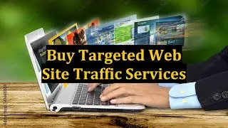 Buy Targeted Web Site Traffic Services