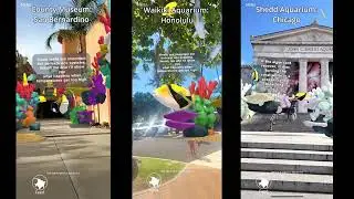 CoralsARLife _DemoVideo Submission for Google's Geospatial Creator Challenge