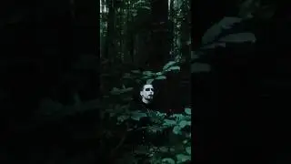 Фантасмагория