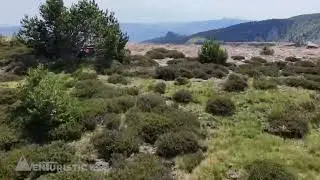 Els LLACS de NEILA