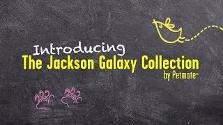 Jackson Galaxy Collection Overview