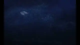 Toothless And Light Fury Edit
