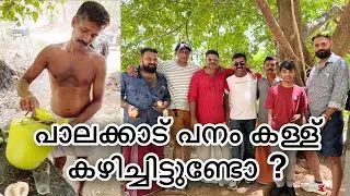 പാലക്കാട്‌ പനം കള്ള് കഴിച്ചിട്ടുണ്ടോ || Living Loud with Rejul