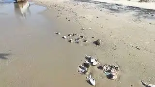 Playa de pescadores. Mannar. Sri Lanka