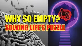 Why Everything Feels Pointless (Science & Islam Agree)