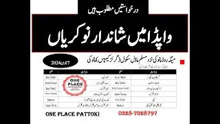 WAPDA Jobs-2024