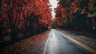 snow patrol - chasing cars (slow + reverb)