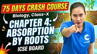 Day-19 | 75 Days Crash Course | Class 10 ICSE Biology | Chapter 4: Absorption by Roots | Lecture-2