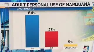 UNF Poll sheds light on how voters feel about 2 high-profile amendments