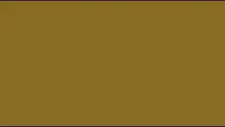 DARK YELLOW MUSTARD LED LIGHTS SCREEN FOR 10 HOURS 