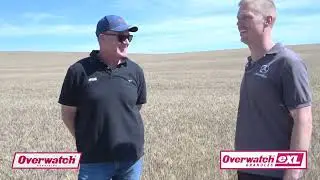 Overwatch&reg; Herbicide successfully filling the gap in barley