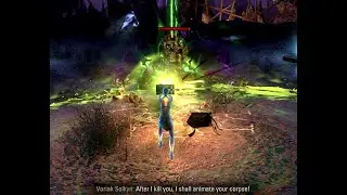 ESO - vMA run in arcanist, 6 vitality left 470k+ score