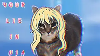 Your lie in April x UIA CAT