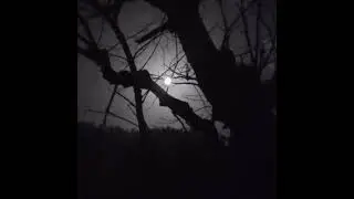 Endless Despondency_Forsaken Felicity