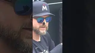 This butterfly had a front row seat to the Twins game. 🤣