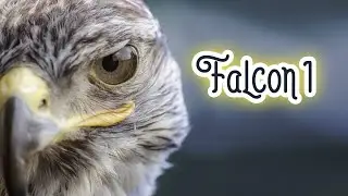 Falcon 1