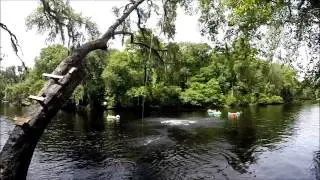 Ginnie Springs GoPro May 31, 2014