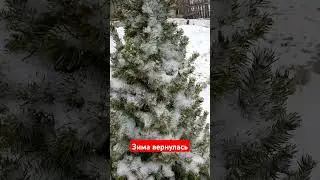 6.04.2025 Зима вернулась#погода