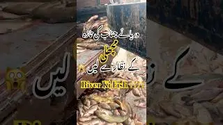 Original River&rsquo;s Fish Hunting 🙀 #tayibafishmarket #fishmarket #fish #machimarket