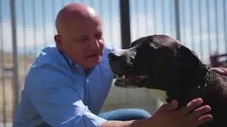 The SPCA of Northern Nevada - Original No-Kill Animal Adoption Agency